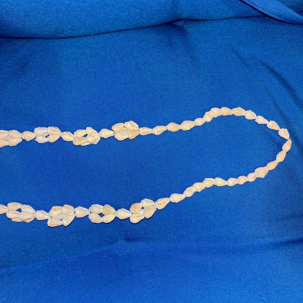 Sea Shell Necklace Colored White Gently Worn NWOTS - Picture 5 of 5